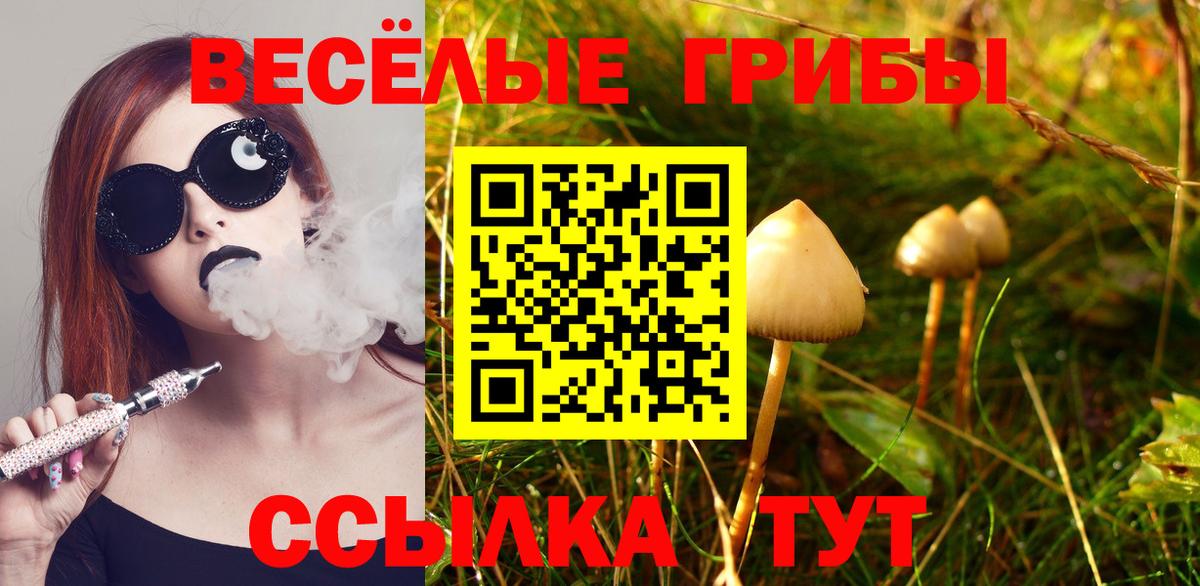 Псилоцибиновые грибы мухоморы Вольск