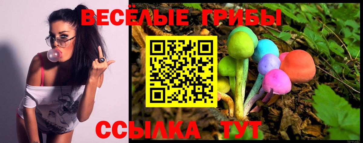 Вольск  Псилоцибиновые грибы мухоморы  Вход с VPN 